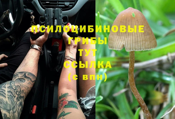 спайс Тихорецк