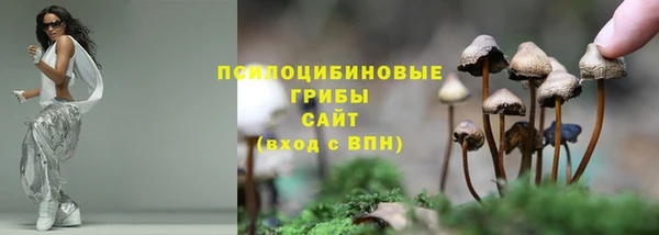 MDMA Premium VHQ Тобольск