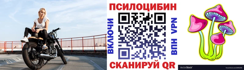 Купить  Белёв  Галлюциногенные грибы Psilocybine cubensis 